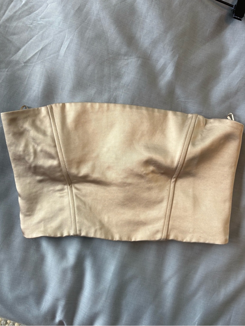 Zara - champagne Strapless Bustier Top